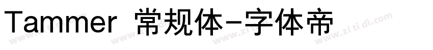 Tammer 常规体字体转换